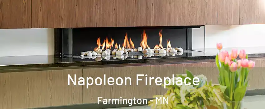  Napoleon Fireplace Farmington - MN