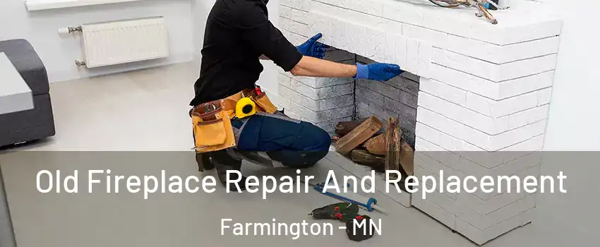  Old Fireplace Repair And Replacement Farmington - MN