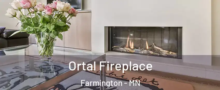  Ortal Fireplace Farmington - MN