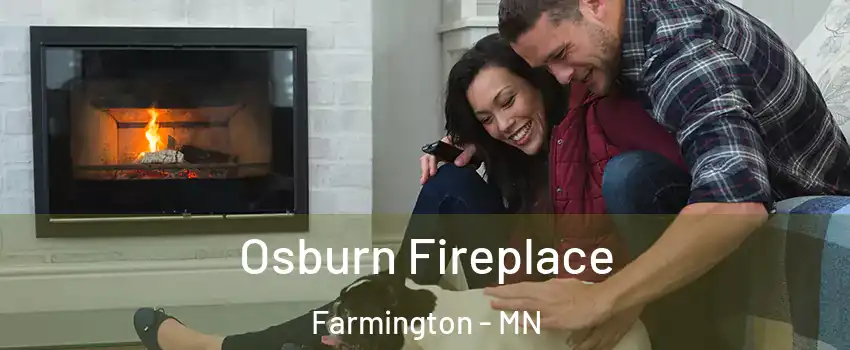  Osburn Fireplace Farmington - MN