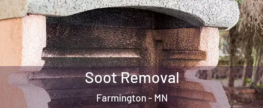  Soot Removal Farmington - MN