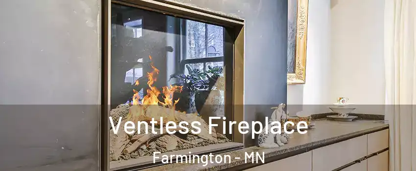  Ventless Fireplace Farmington - MN