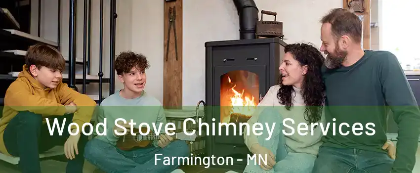  Wood Stove Chimney Services Farmington - MN